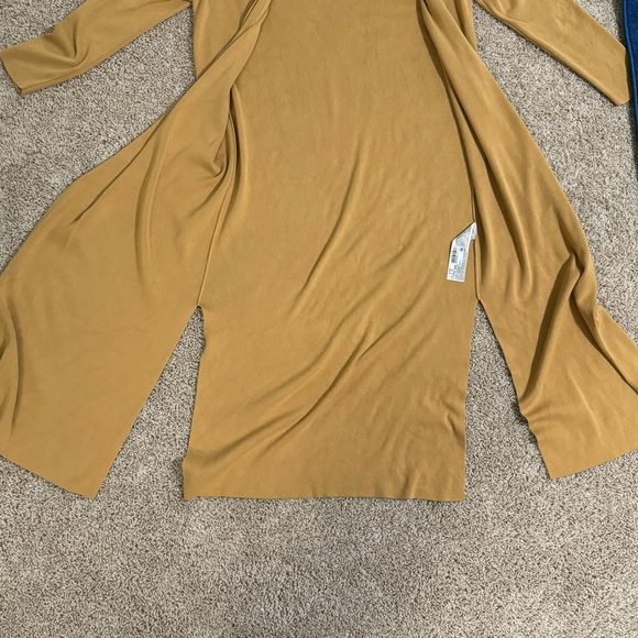 Mango - Picture 4 of 6